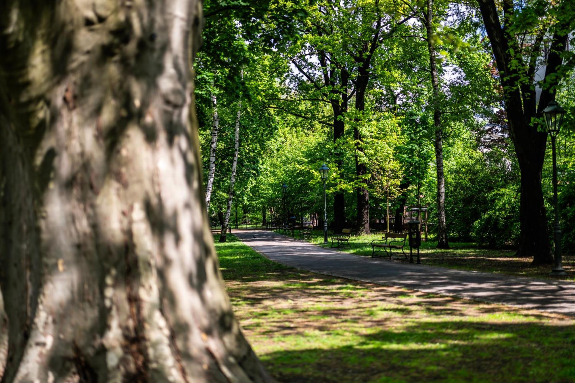 Bari Moxy Te&am Cracow Parking Gratis Krakow